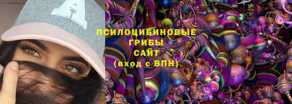 метадон Алексин
