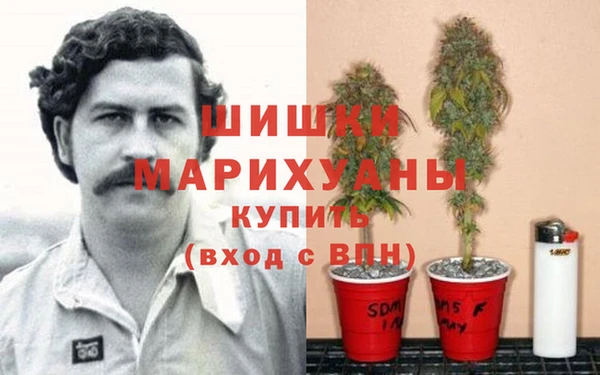 метадон Алексин