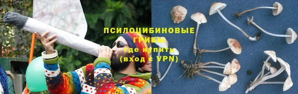 а пвп мука Алексеевка
