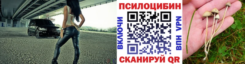 Галлюциногенные грибы мицелий  купить наркотик  Туринск 